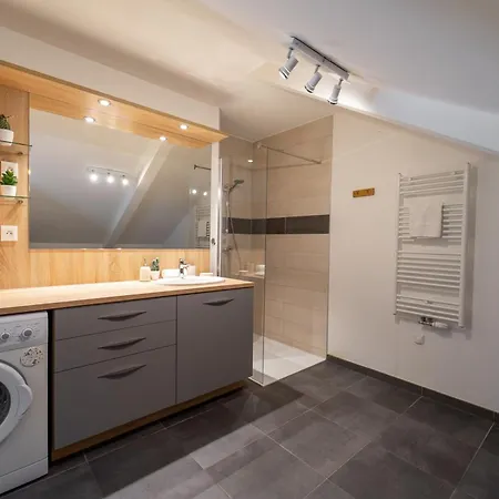 La Champanaise - 2 Bedroom 300m From Annecy Apartment Duingt